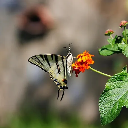 Residenza Giancesare Family Aparthotel Paestum